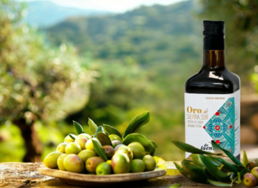 Día del Olivo: 5 claves sobre la importancia histórica y social del olivar